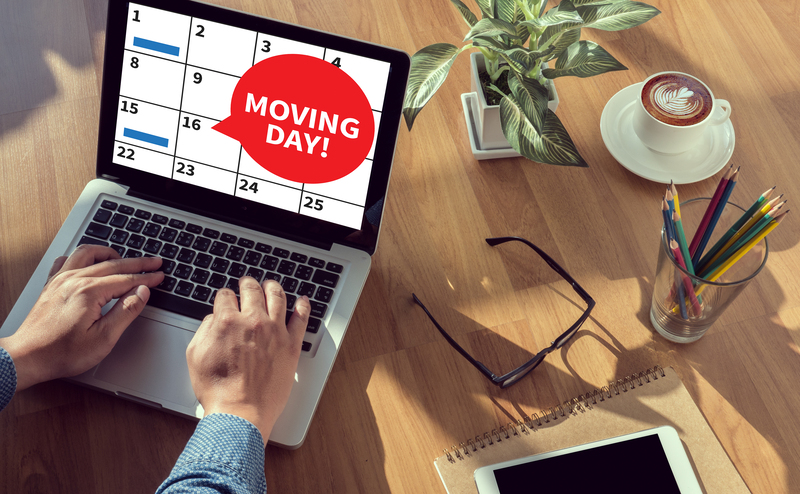 Household moving support and van transport options